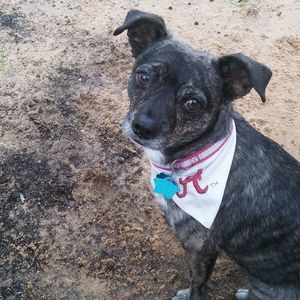 Meet your Posher, Kay